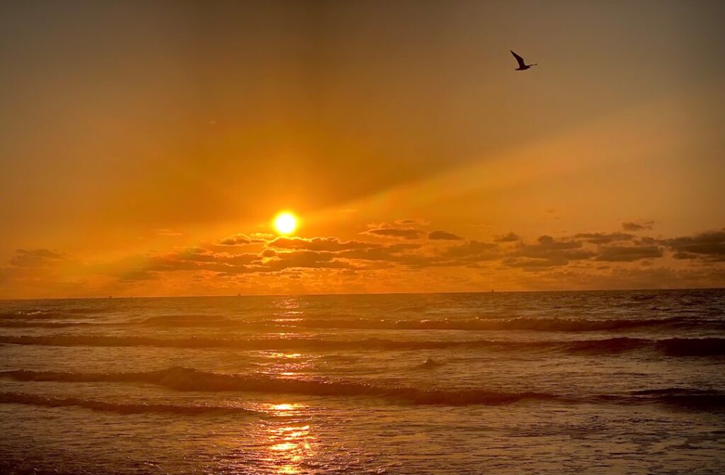 Galveston Vacation Rentals for July 4th Weekend: Book Direct Before Prices Spike (15 Days Away)