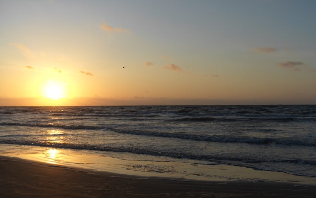 Galveston Vacation Rentals for Back-to-School Shopping & Family Outings: Book Direct Before Labor Day Crowds Hit