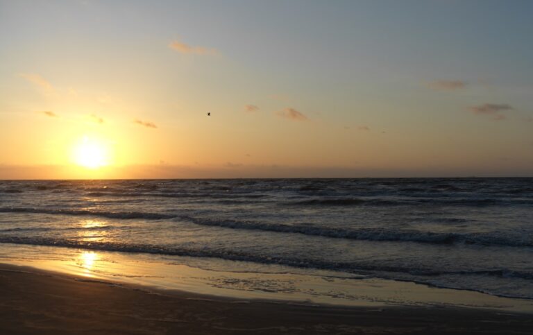 Galveston Vacation Rentals for Back-to-School Shopping & Family Outings: Book Direct Before Labor Day Crowds Hit